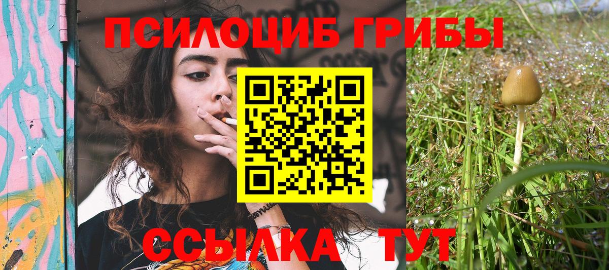 Ижевск  Галлюциногенные грибы Psilocybine cubensis  Вход с VPN 