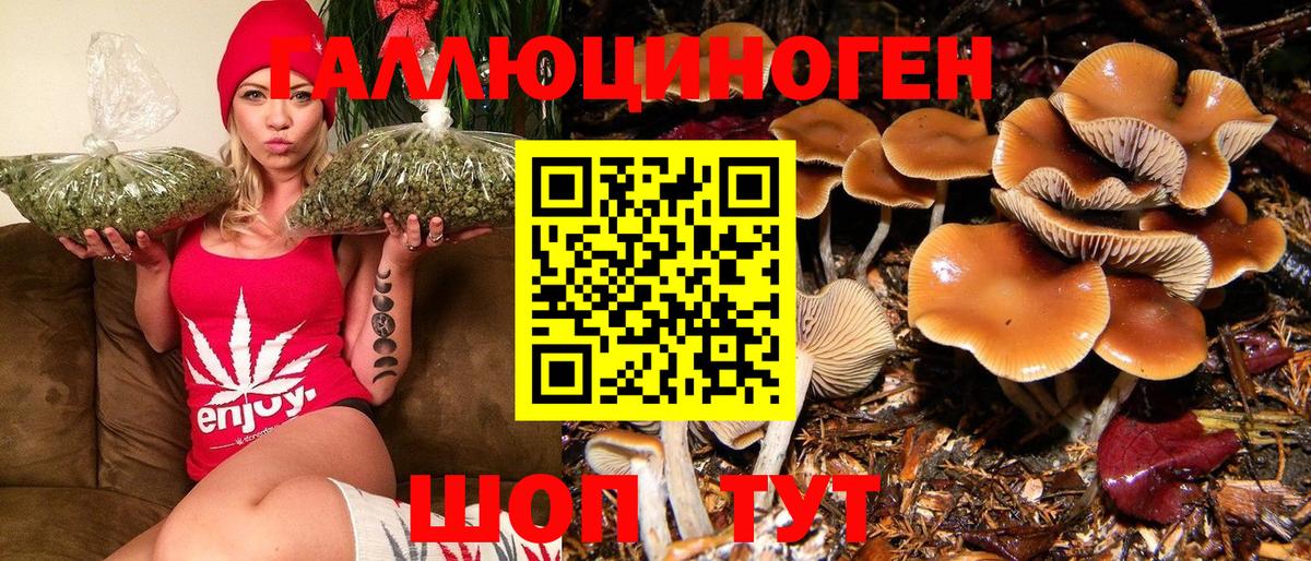 Галлюциногенные грибы Psilocybe Ижевск